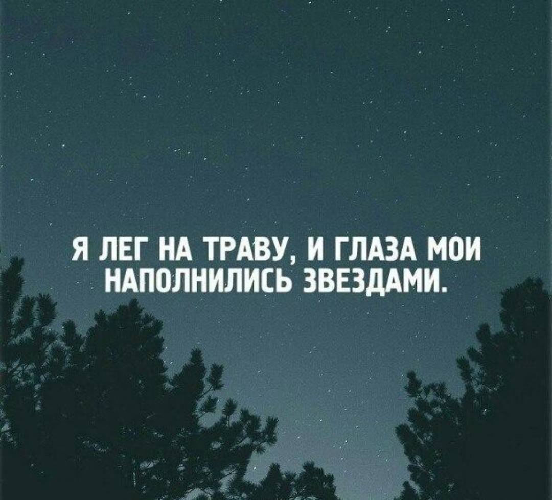 Я лег на траву и глаза мои наполнились звездами. И мир вдруг ... | Стихи и  цитаты | Фотострана | Пост №978507822