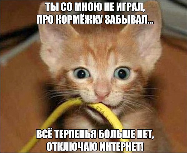    :D - 21  2016  04:05