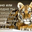 ���� ���������, ��������� - ��������� 1 ������ 2016 � ������ ������ ��������