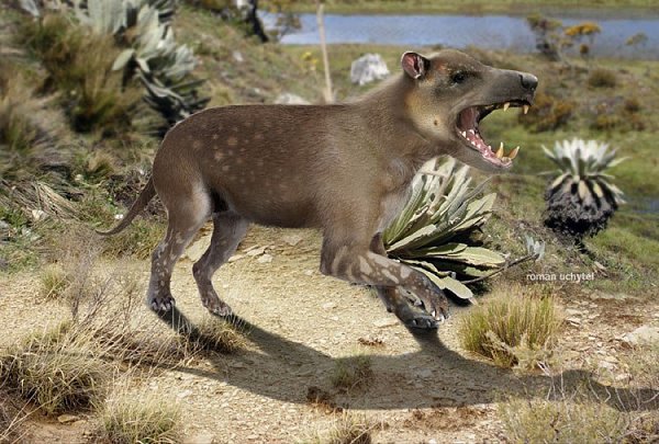Cиноникс (Sinonyx jiashanensis), вымерший представитель мезонихий, группы палеогеновых копытных, из ...