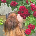 ���� ����, �������, 36 ��� - ��������� 16 ���� 2016 � ������ ���� ����������