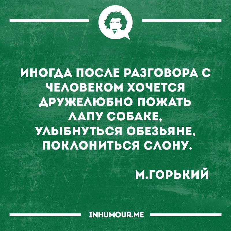 21 Декабря День Пожимания Лап