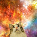 ���� ����, ���������, 28 ��� - ��������� 14 ���� 2016 � ������ ������ ��������