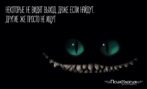 ������ �������� �������� - ���������� ���� - 10