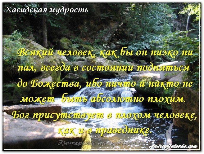    TV - 24  2016  01:05