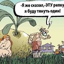 ���� ����, �������, 63 ���� - ��������� 31 ���� 2016 � ������ ������ ��������