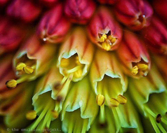 Сохраните в себе человека, оно того стоит….А пройдя испытанья, судьба дозу счастья удвоит…Даже если ... - 5