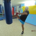  ,  , 67  -  19  2016   - 2011-2012