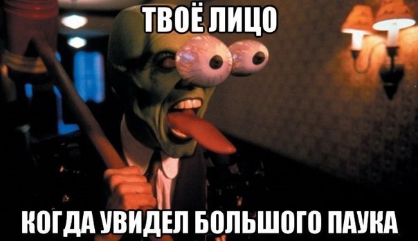     - 1  2016  17:01