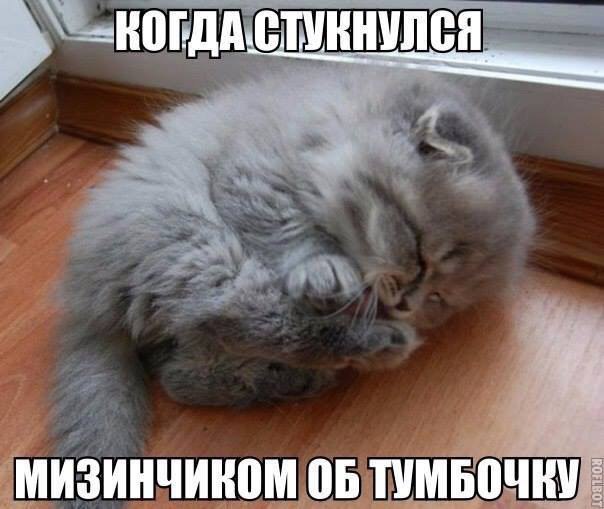       - 18  2016  13:44