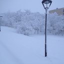 ���� ����������, ����, 75 ��� - ��������� 28 ���� 2016 � ������ ������������ �������������