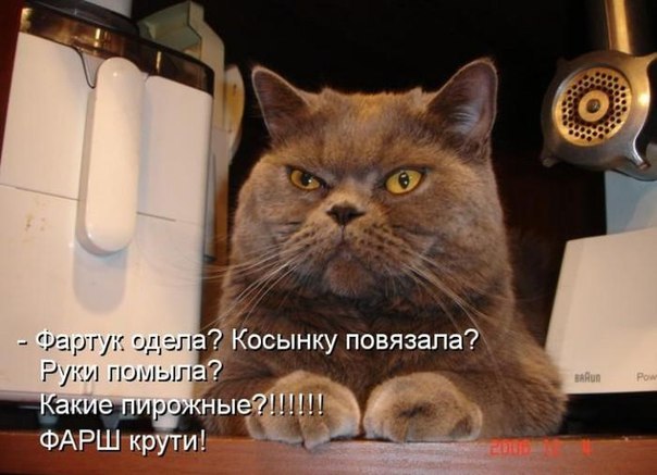 Все о цветах - 12 августа 2016 в 00:28