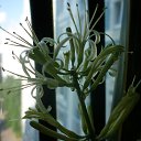  -   !,  -  3  2016    2016