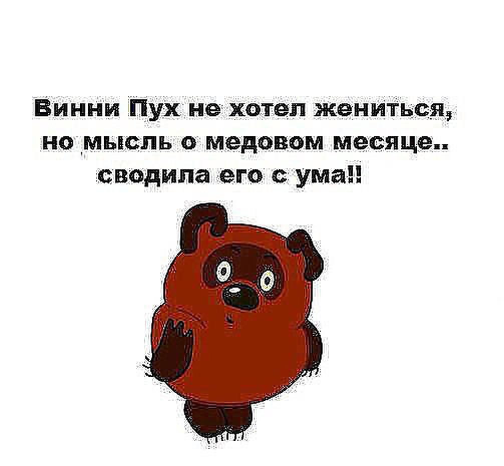 Приколы пух. Винни пух не хотел жениться. Смешные фразы Винни пуха. Винни пух не хотел жениться но мысль о медовом. Прикольные фразы про мед.