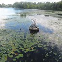 ���� �������, ������� - ��������� 19 ���� 2016 � ������ ���������.�