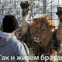 ���� Andre, ������ - ��������� 7 ���� 2016 � ������ ���� ����������