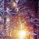 ���� �������, ������������, 36 ��� - ��������� 4 ������ 2016