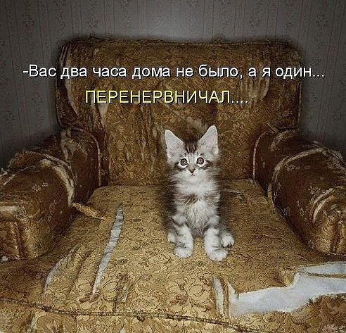 У нас много интересногоЧтобы порадовать друзей этим постом - нажмите