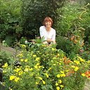 ���� �������, �������, 44 ���� - ��������� 19 ������� 2016 � ������ ���� ����������