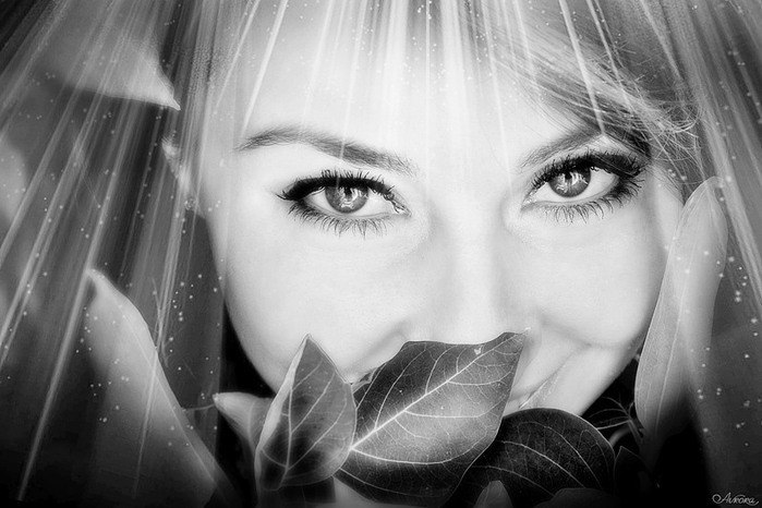 Р. — Скажешь мне "да"? — Да. — Скажешь мне "нет"? — Нет. — Что там в окне? — ...