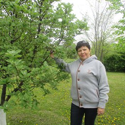 Liza, ���������, 65 ���