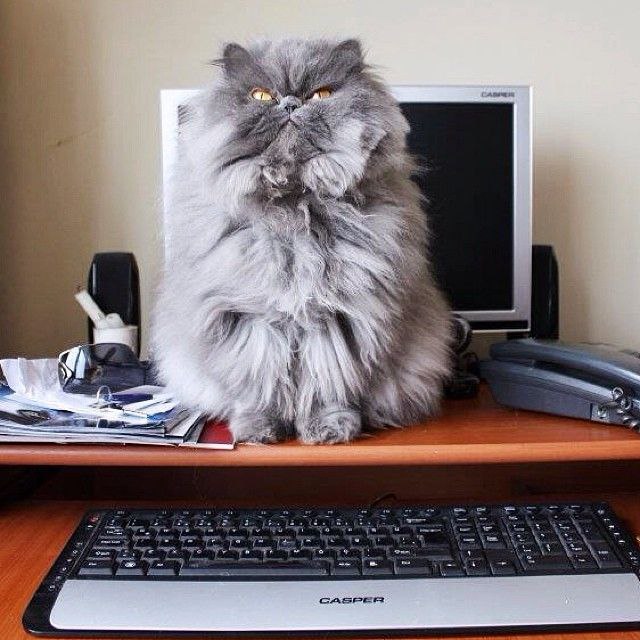   :3."   .   !"