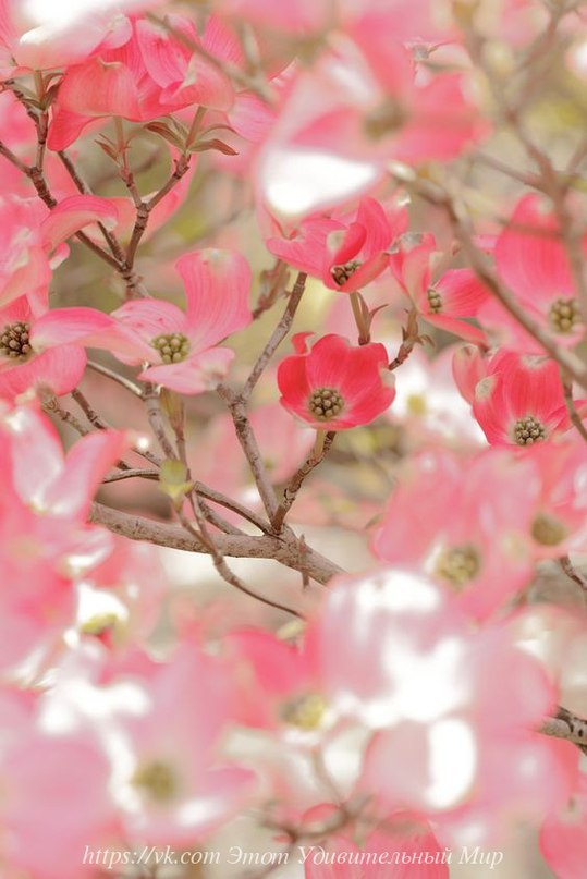 ����� ������� - 1 ������ 2016 � 23:35 - 6