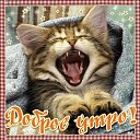 ���� ����, ����������-��-�����, 56 ��� - ��������� 3 ��� 2016 � ������ �������� ��������