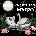  ...,  ...tanya,  -  11  2016    ߻