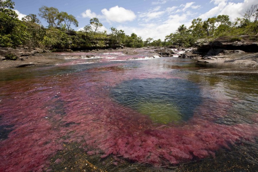   (Cao Cristales -  )    ,     ... - 2