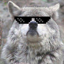 ������, ������, 33 ����