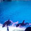 ���� ����, ������, 56 ��� - ��������� 20 ������� 2016 � ������ �����