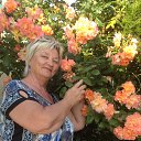 ���� �����, �����, 73 ���� - ��������� 1 ���� 2016