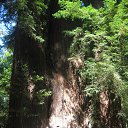 ���� �������, ���-���������, 53 ���� - ��������� 24 ���� 2016 � ������ ���� ����������