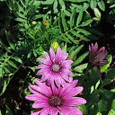  , , 60  -  6  2016   ,04.-06.06.16.