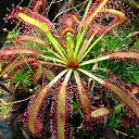 ���� Eric, ����, 61 ��� - ��������� 21 ��� 2016 � ������ �Flora and fauna�