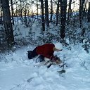  ., , 45  -  26  2016    