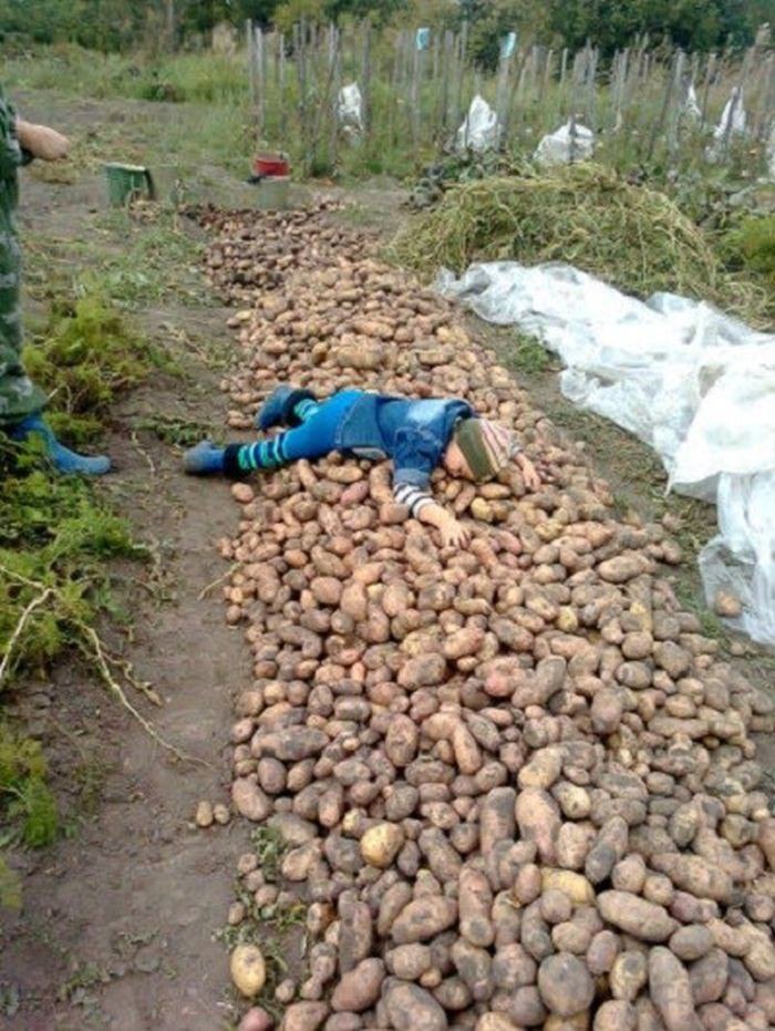     .  ,  ... )))