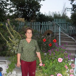 ����, ��������