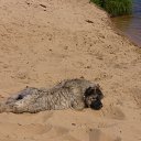 ���� ������, �����, 52 ���� - ��������� 31 ������� 2016 � ������ ���� ����������