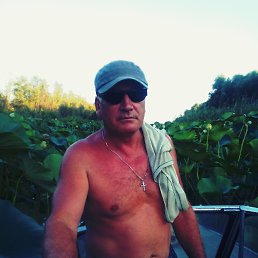 ���� �������, ������, 61 ��� - ��������� 22 ������� 2016