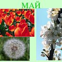 ���� ���������, ����������, 35 ��� - ��������� 2 ��� 2016 � ������ ������ ��������