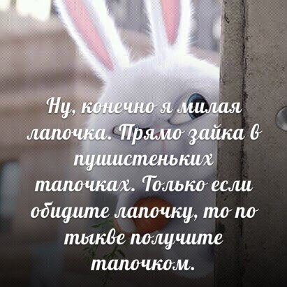  - 23  2016  10:03