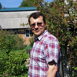 �����������, ���� 2016