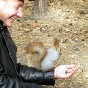 ���� �������, ������, 53 ���� - ��������� 25 ��� 2016 � ������ ���� ����������