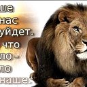 ���� ���������, ��������� - ��������� 1 ������ 2016 � ������ ������ ��������