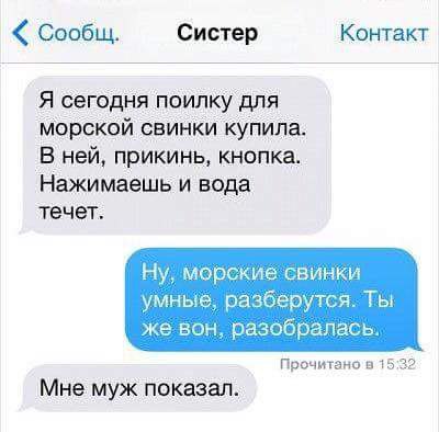   - 13  2016  02:25