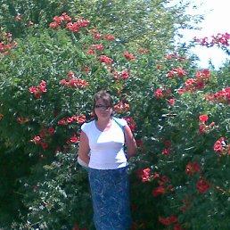 , 57, 