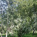  , , 58  -  21  2016    &quot; &quot;  2016