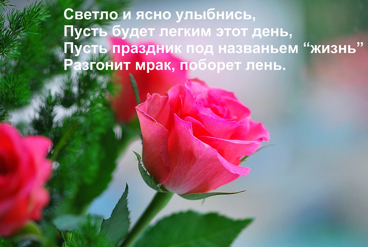  - 28  2016  11:16